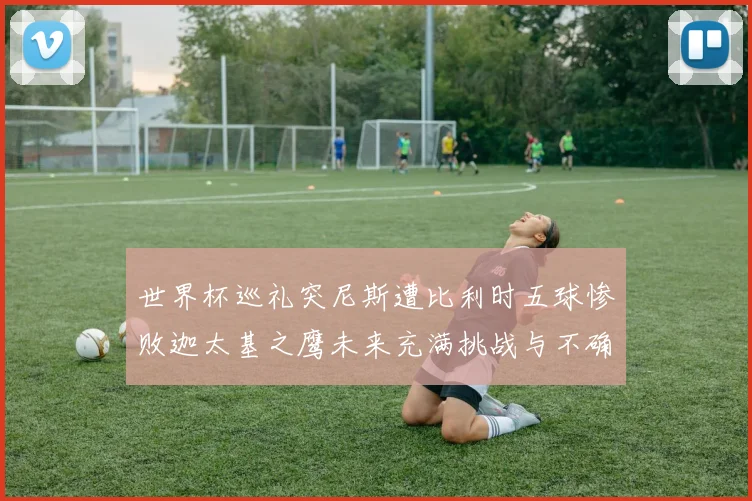 世界杯巡礼突尼斯遭比利时五球惨败迦太基之鹰未来充满挑战与不确定性